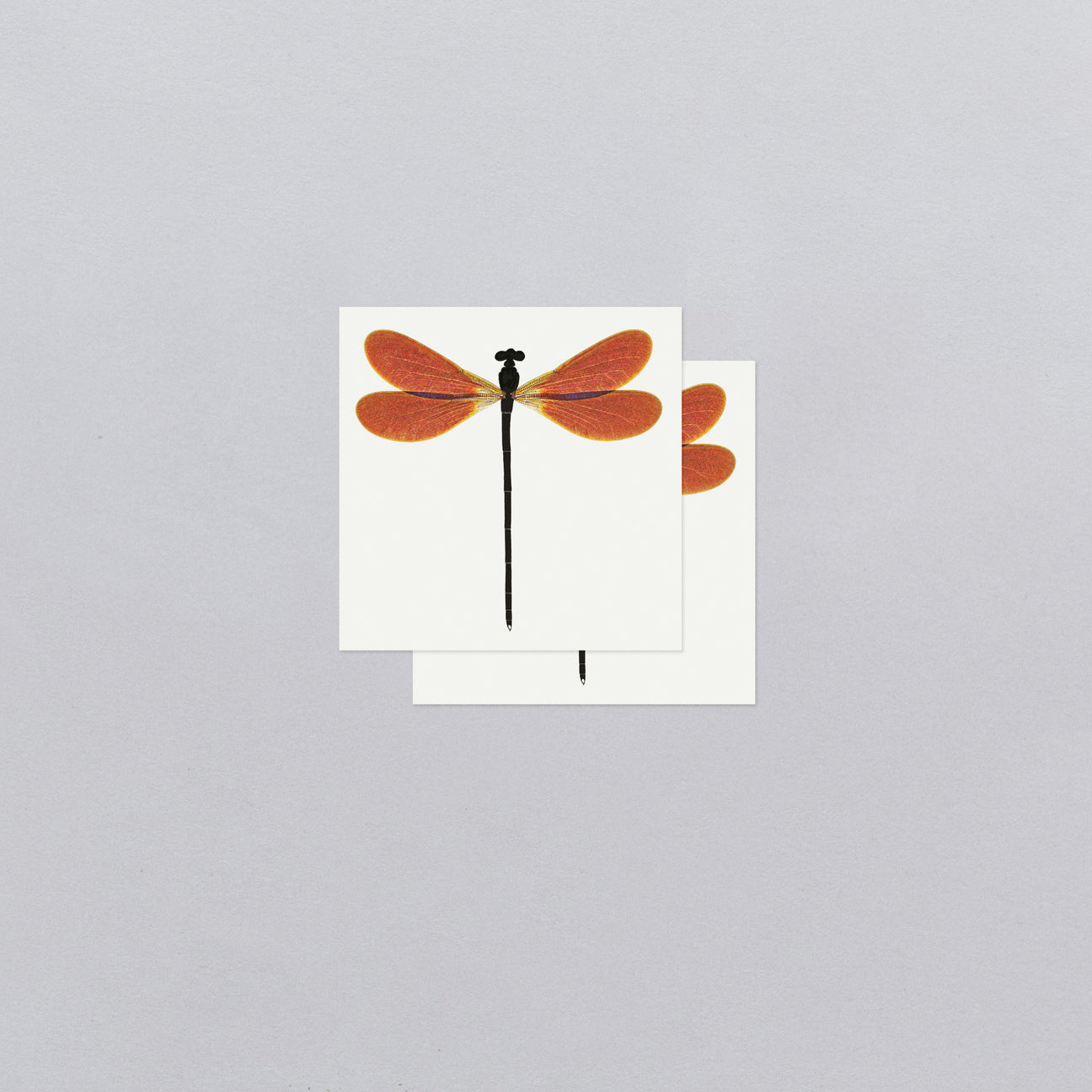 AMBER DAMSEL TATTOO PAIR