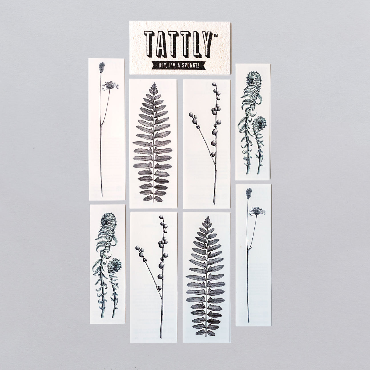 BOTANIST TATTOO SET