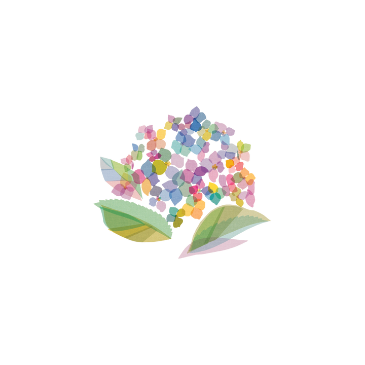Hydrangea Tattoo Pair