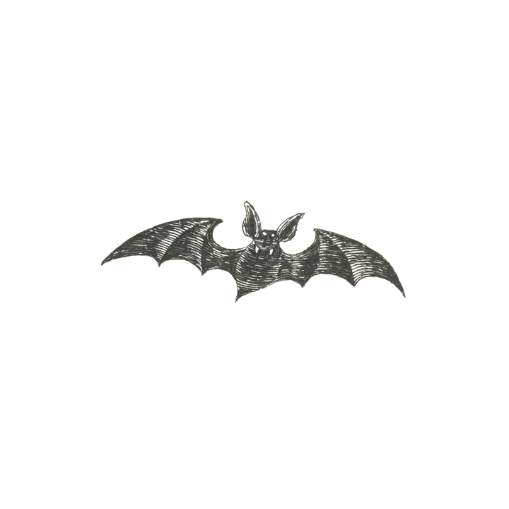 Vampire Bat Tattoo Pair EG