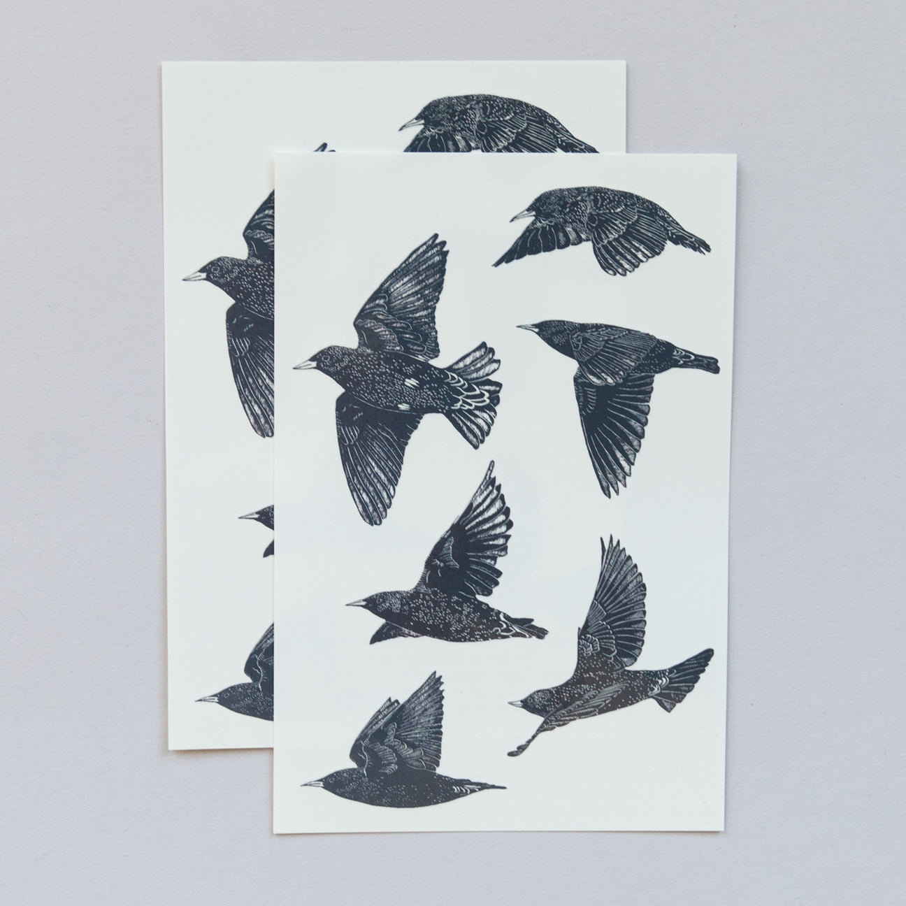 EUROPEAN STARLINGS TATTOO SHEET