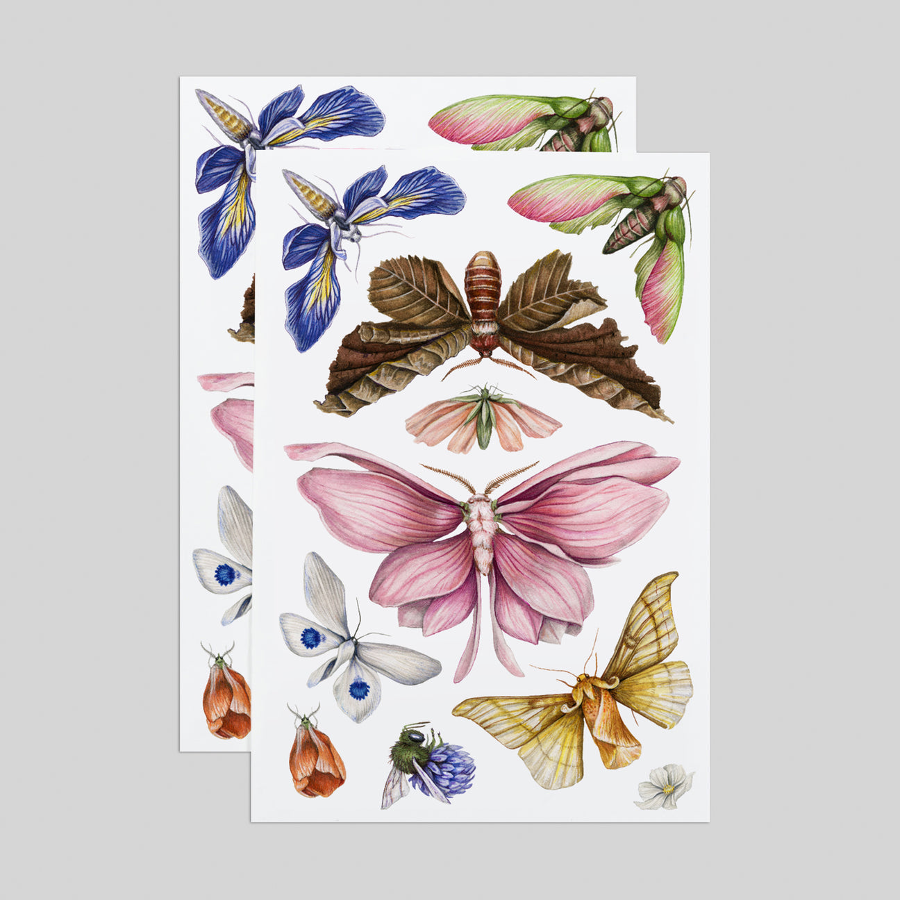 FLORAFLIES TATTOO SHEET