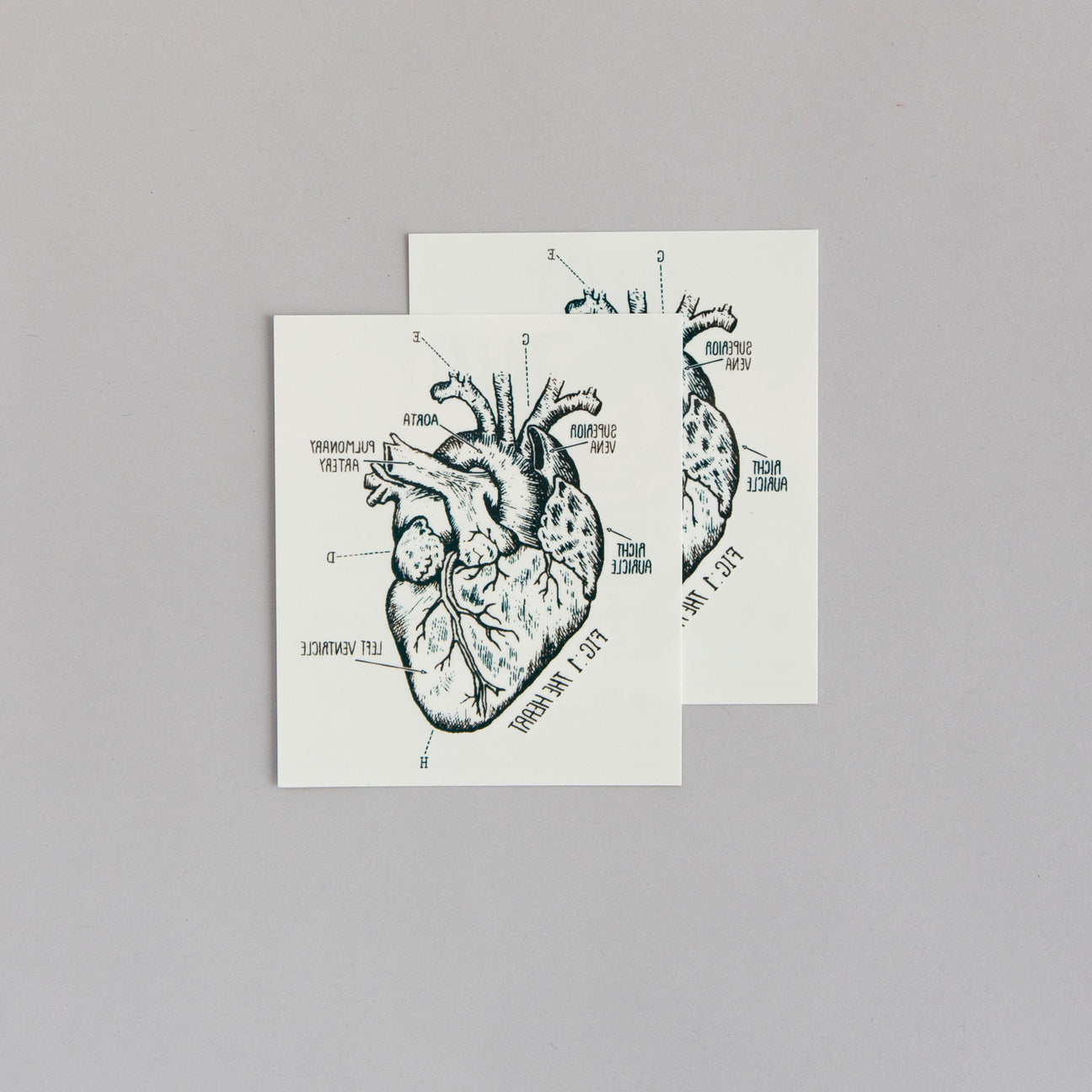 HEART CHART TATTOO PAIR