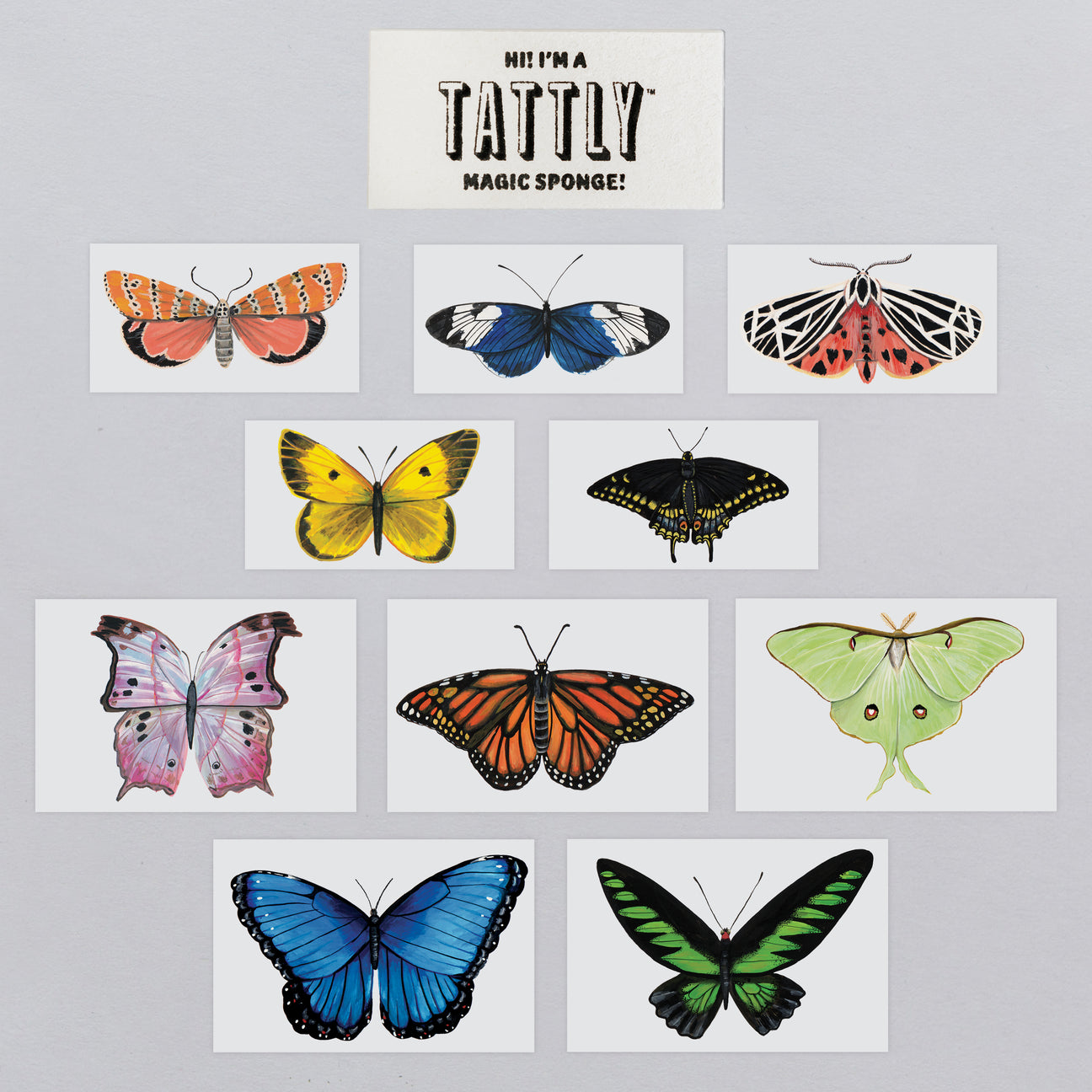TINY BUTTERFLY TATTOO TIN