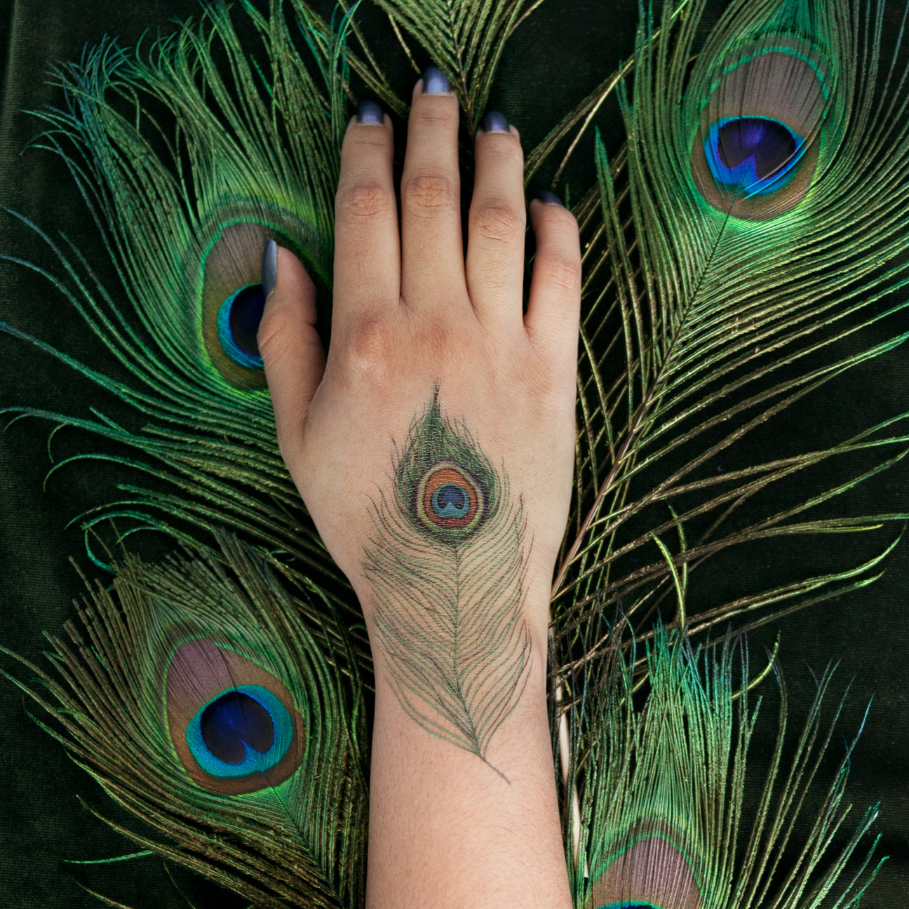 PEACOCK FEATHER TATTOO PAIR