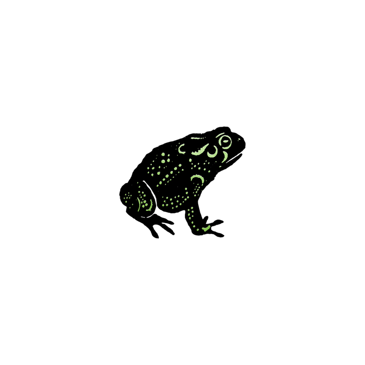 Speckled Foil Frog Tattoo Pair MTL