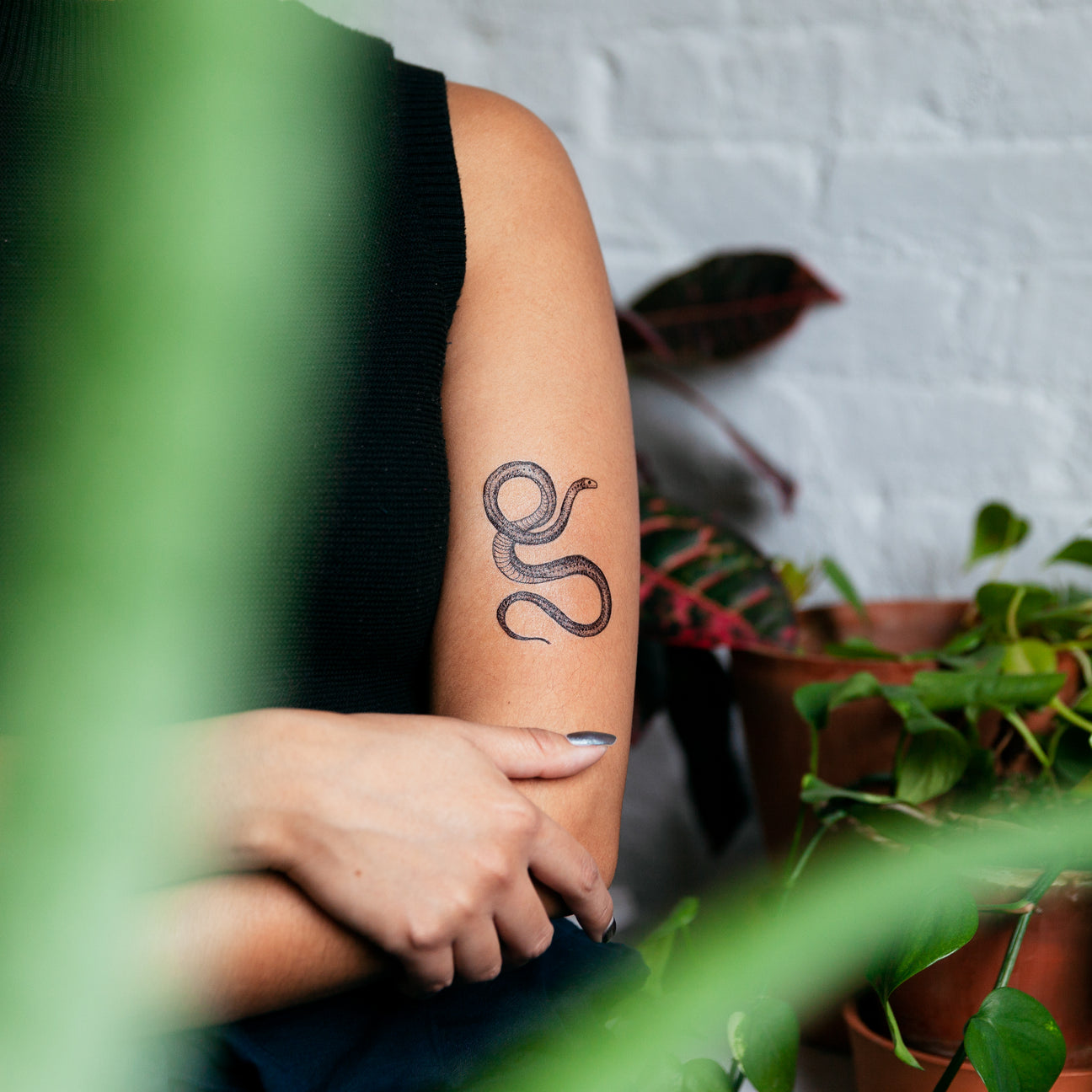 SERPENT TATTOO PAIR