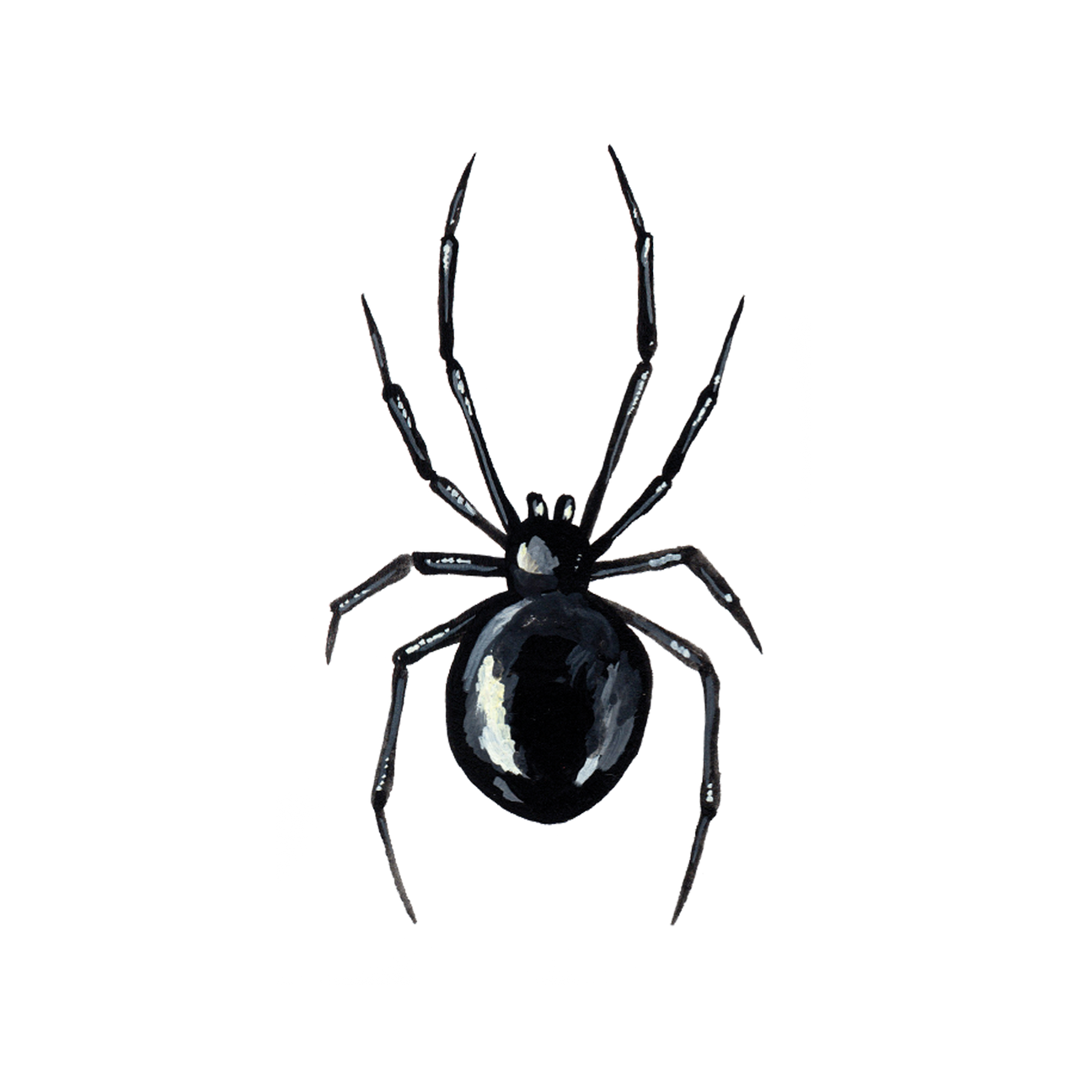 BLACK WIDOW TATTOO PAIR