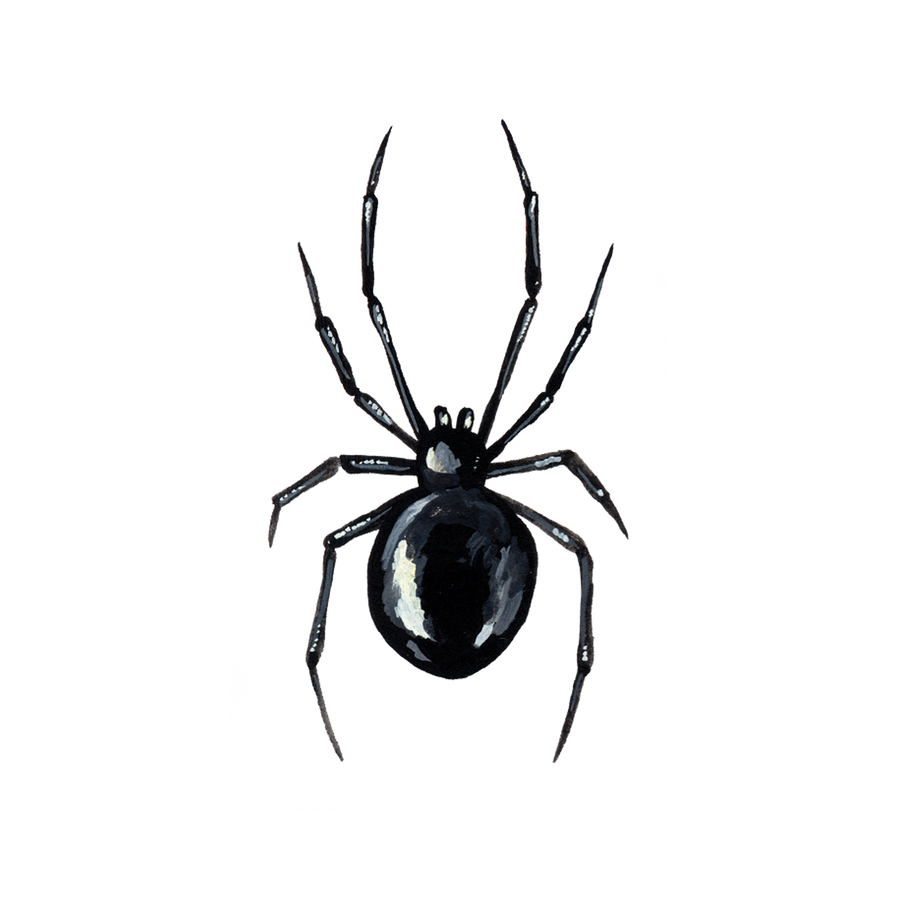 BLACK WIDOW TATTOO PAIR