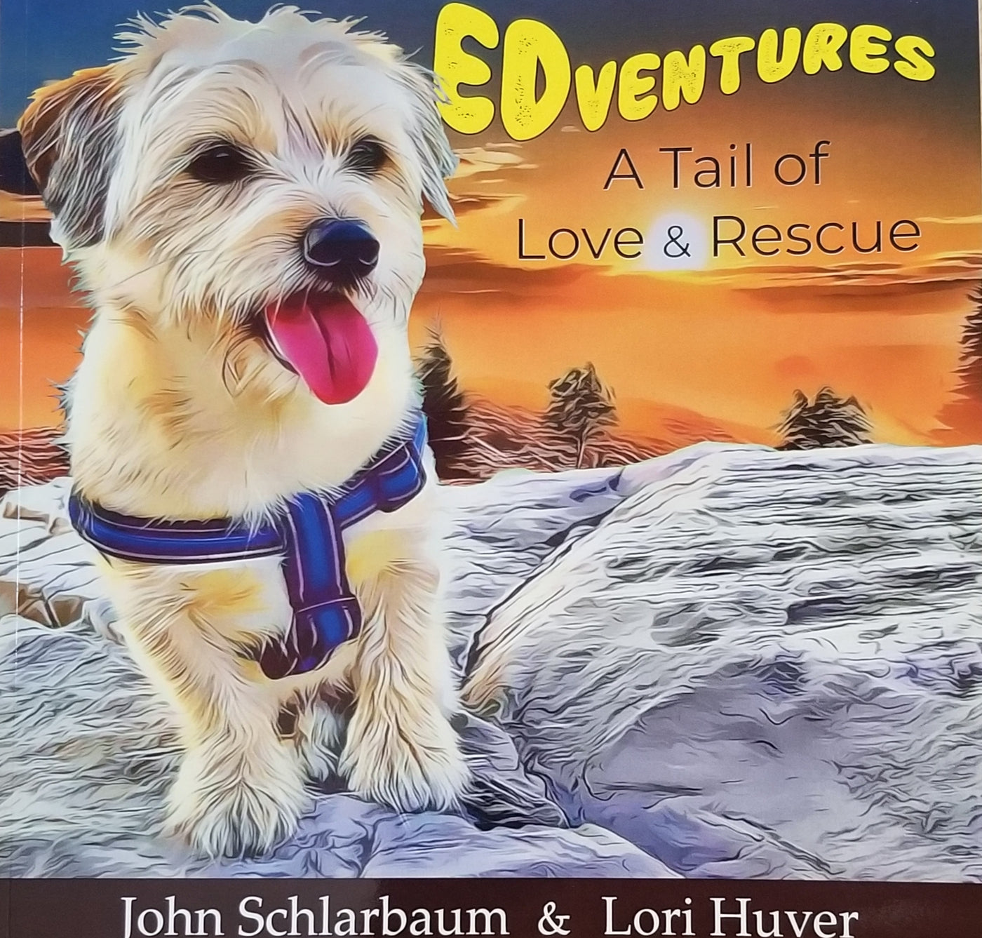 EDventures: A Tail of Love & Rescue