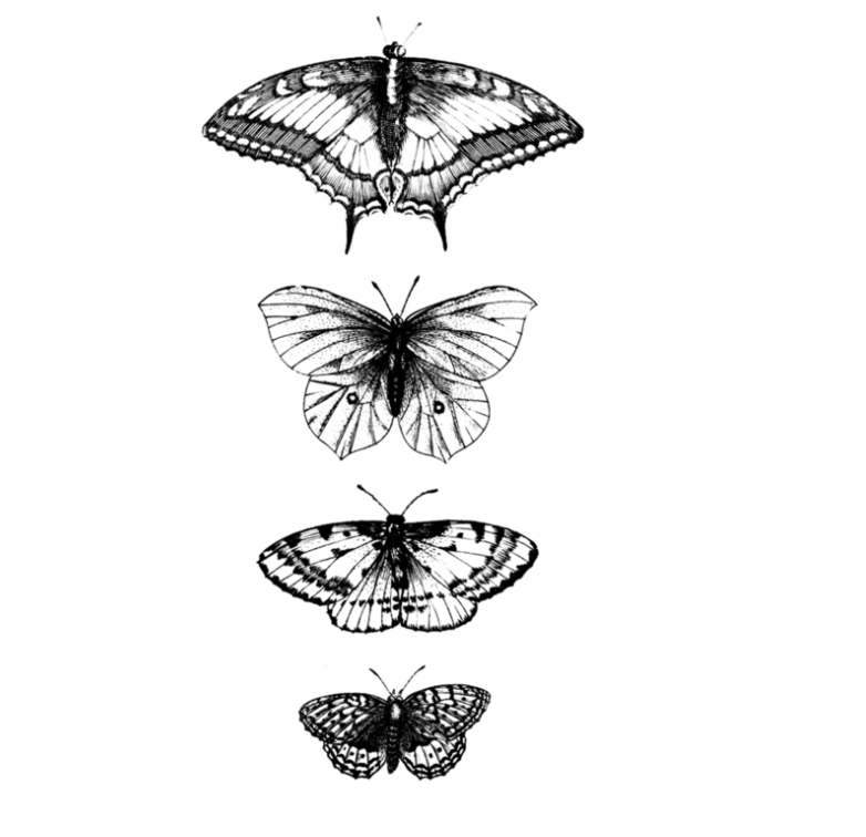 BUTTERFLIES TATTOO PAIR