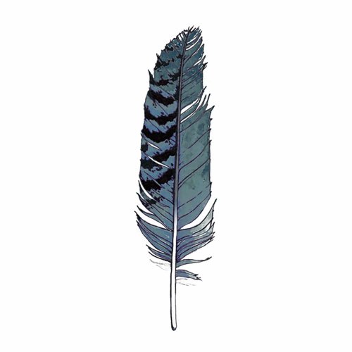 BLUE JAY FEATHER TATTOO PAIR