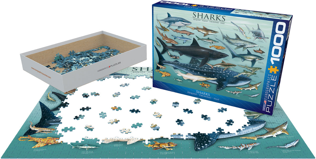 Sharks