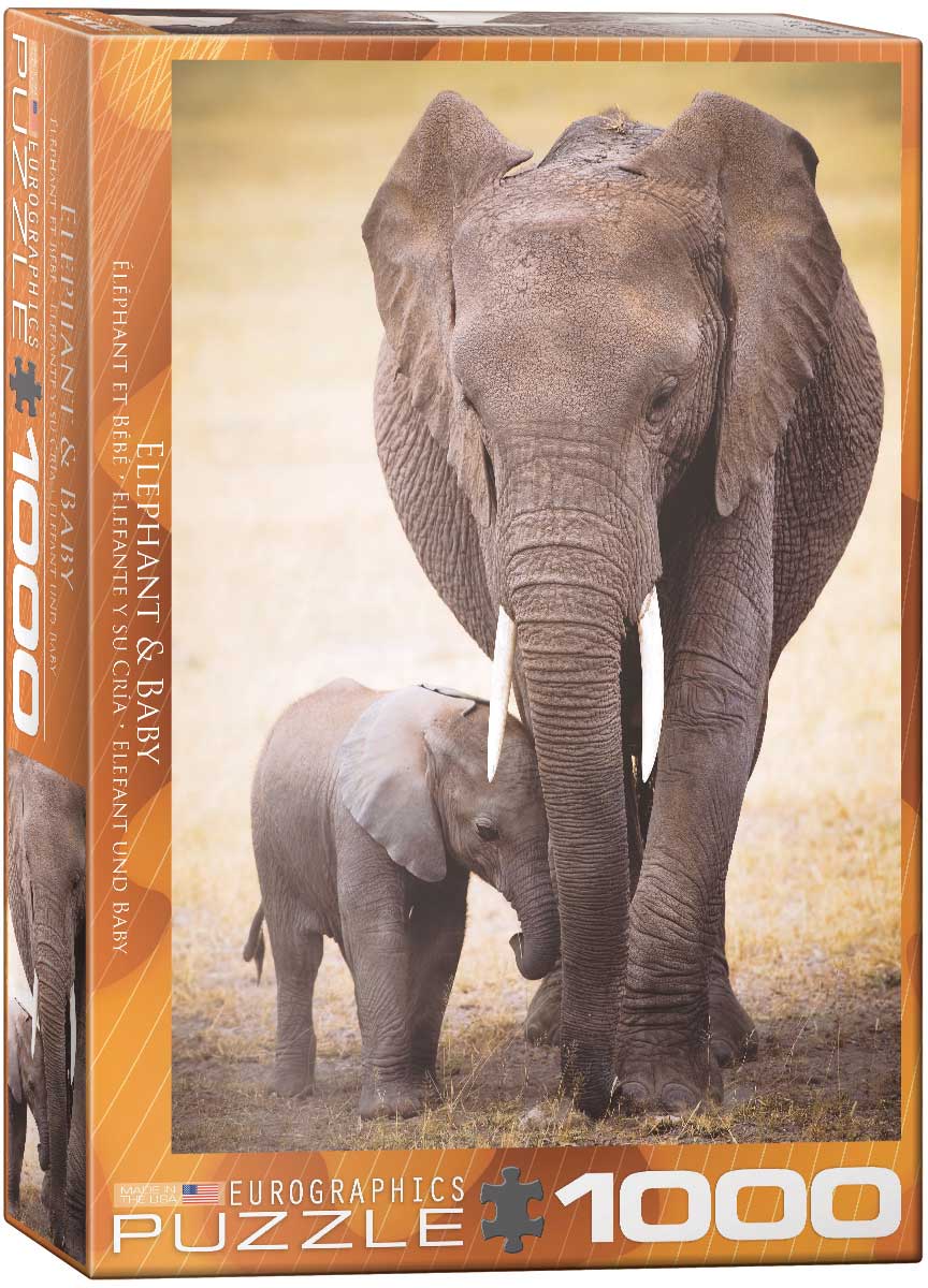 Elephant & Baby