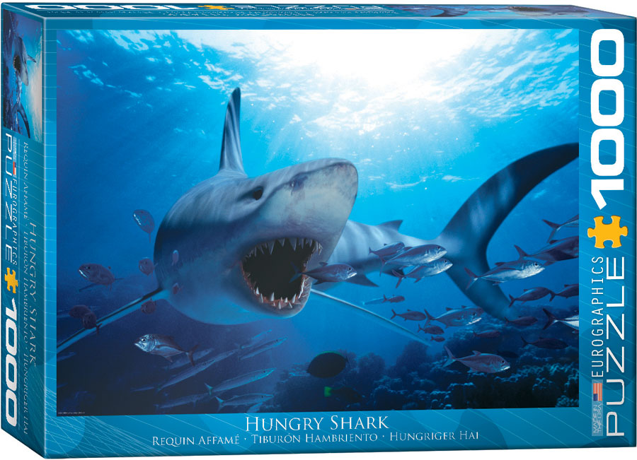 Hungry Shark