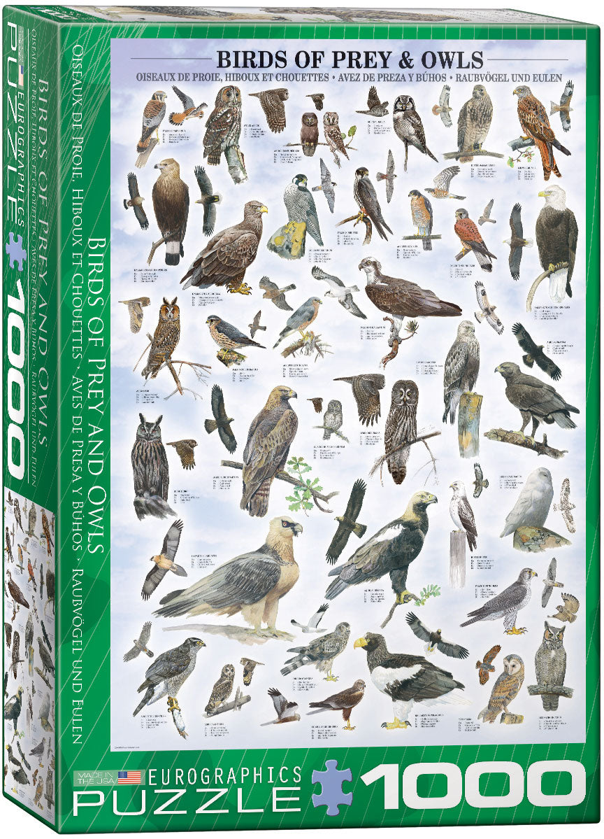 Birds of Prey and Owls