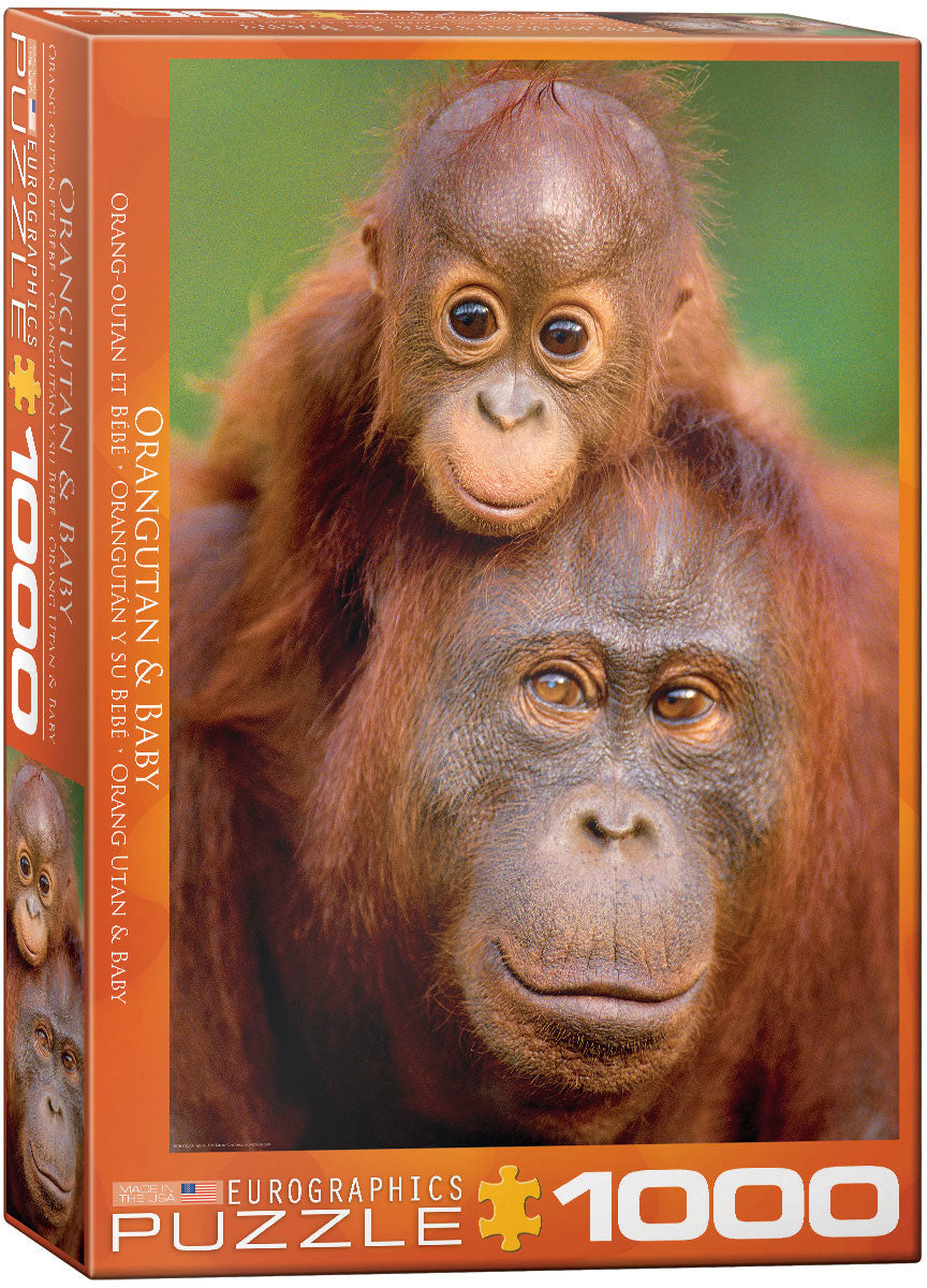 Orangutan & Baby