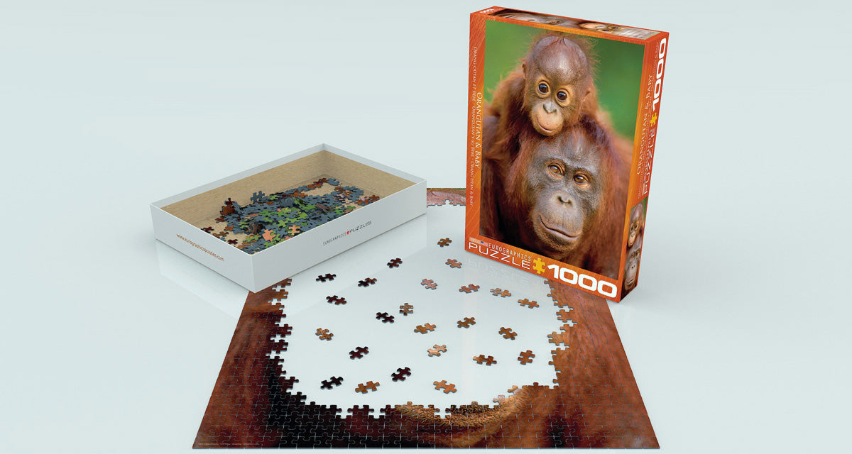 Orangutan & Baby