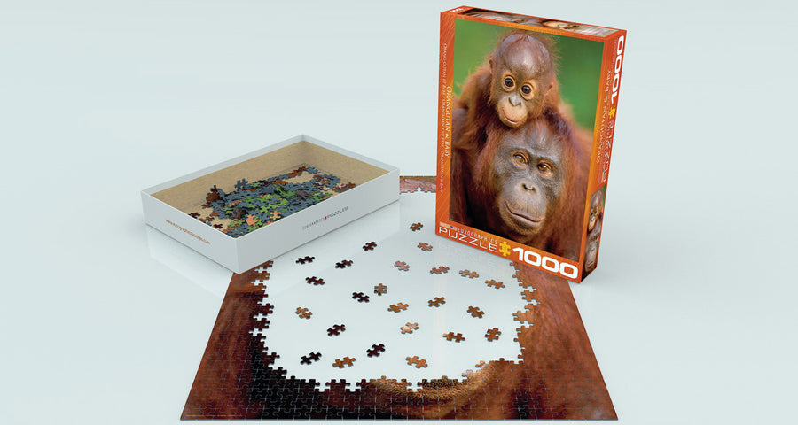 Orangutan & Baby