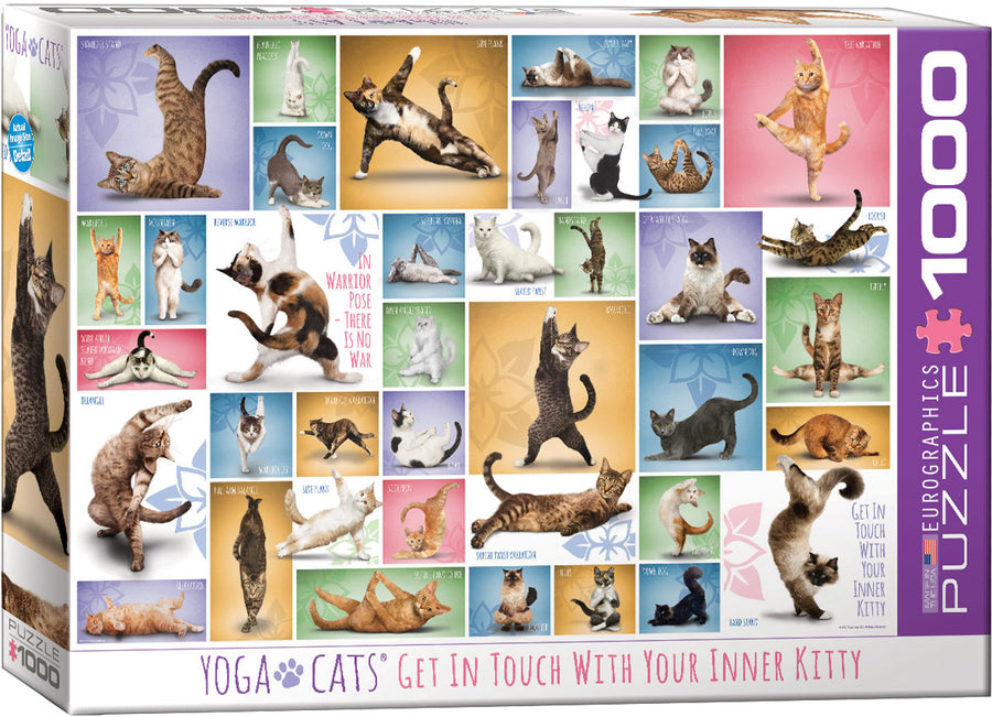 Yoga Cats