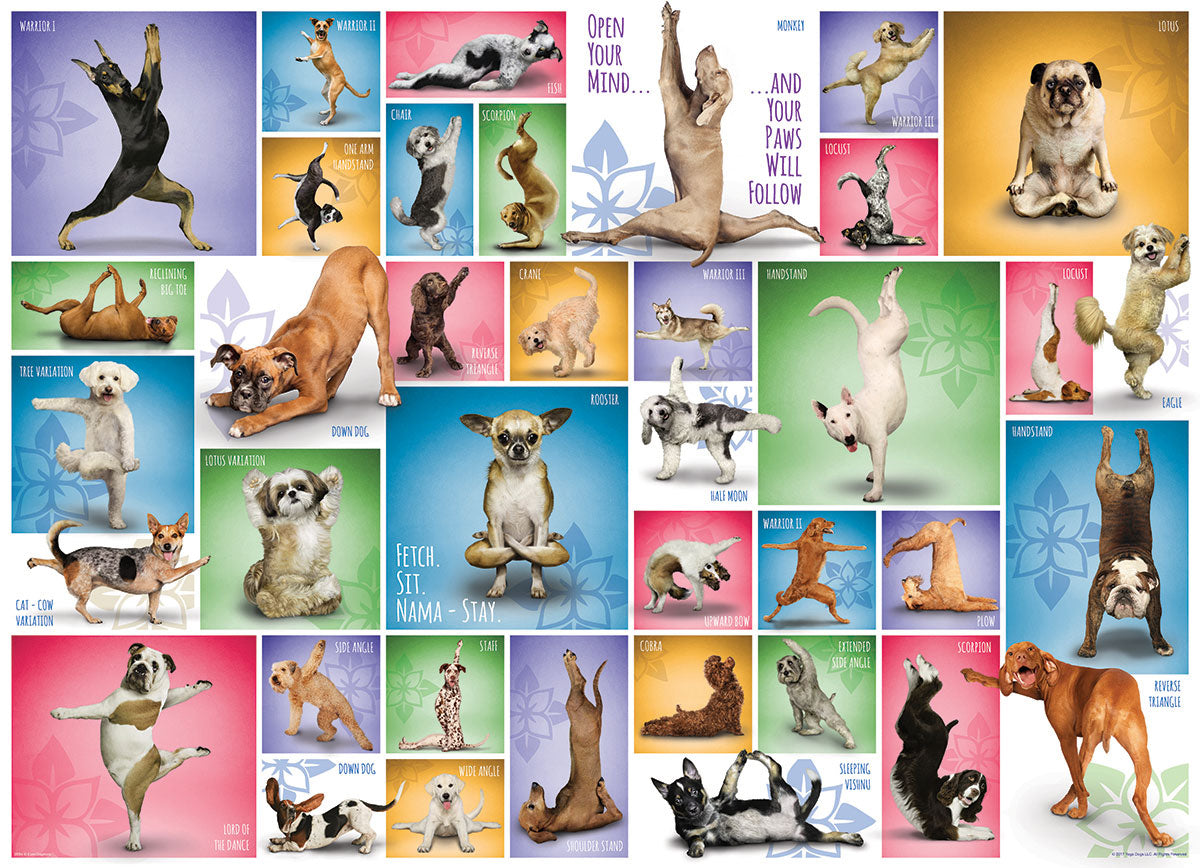 Yoga Dogs