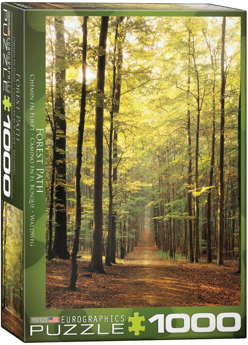 Forest Path