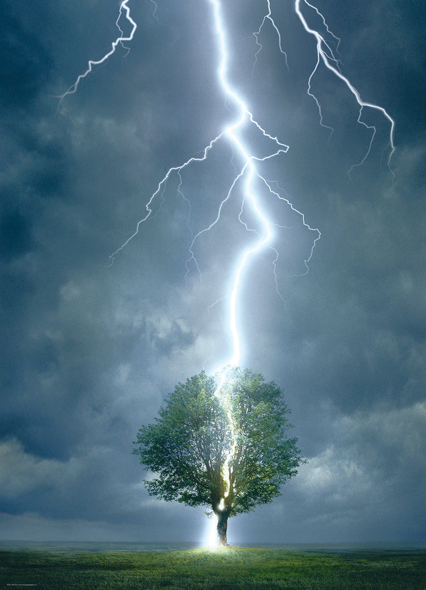 Lighting Striking Tree 1000 Piece
