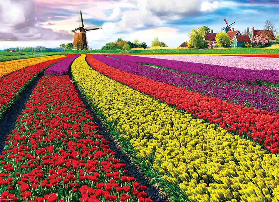 Tulip Field - Netherlands 1000 Pieces