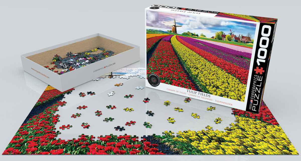 Tulip Field - Netherlands 1000 Pieces