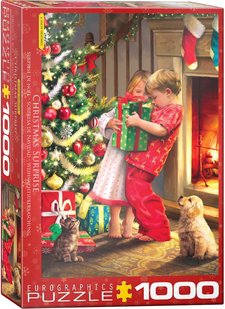Christmas Surprise