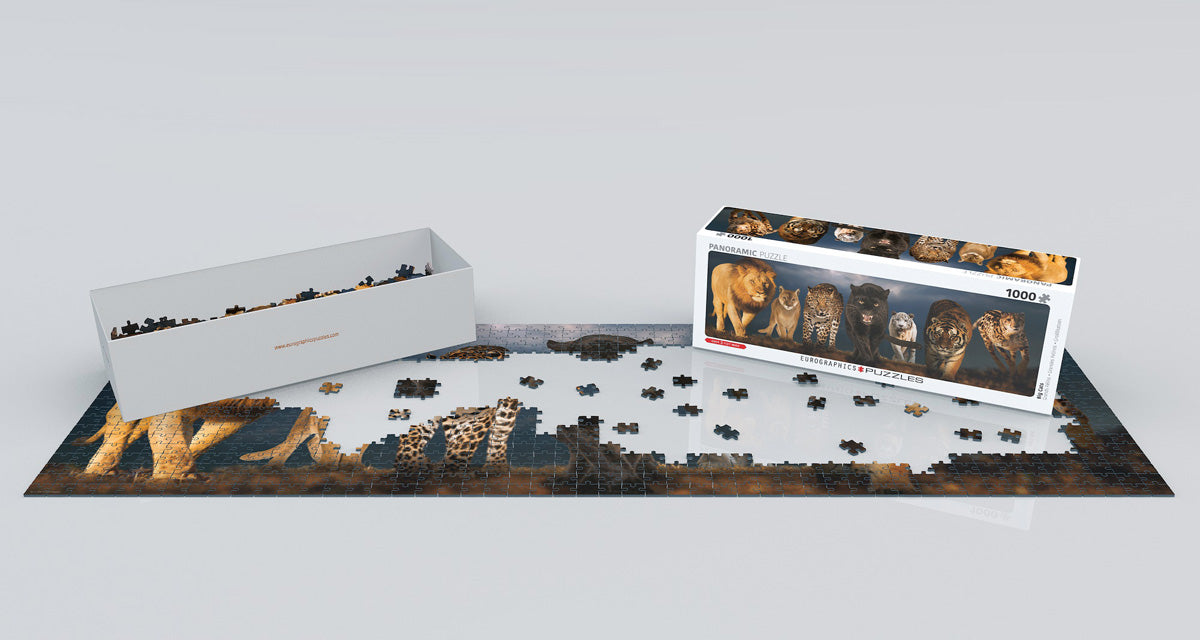 Big Cats 1000 Pieces