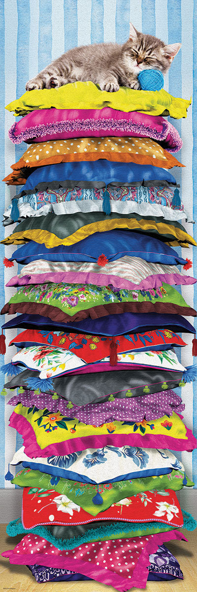 Fluffy Kitty on Pillows