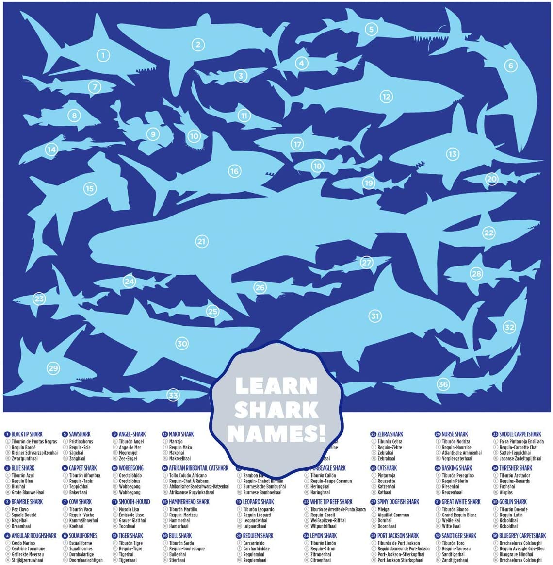36 SHARKS 100-PC PUZZLE