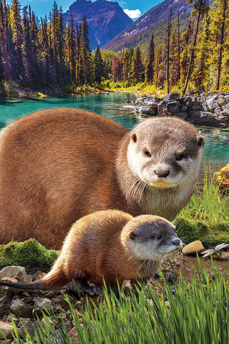 Save Our Planet - Otters 250 Piece Puzzle