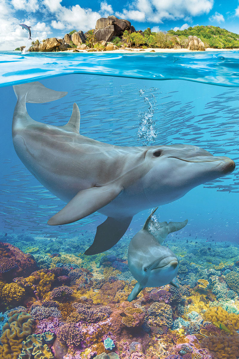 Save Our Planet - Dophins 250 Piece Puzzle