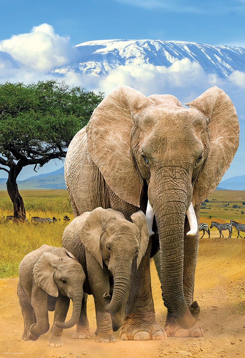 Elephants