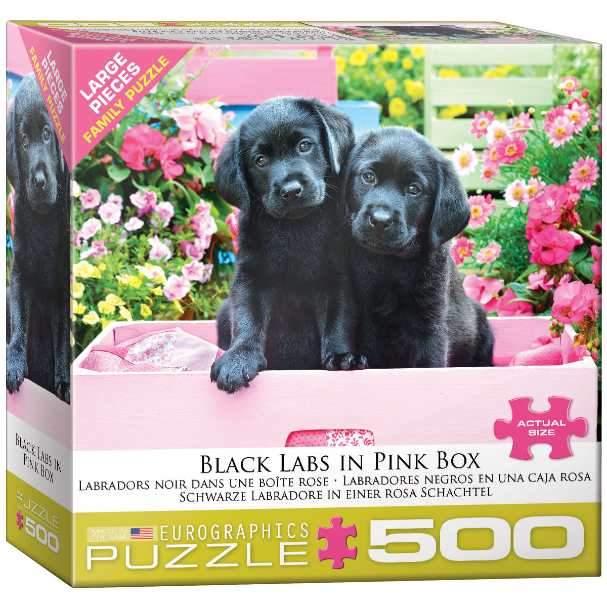 Black Labs in Pink Box