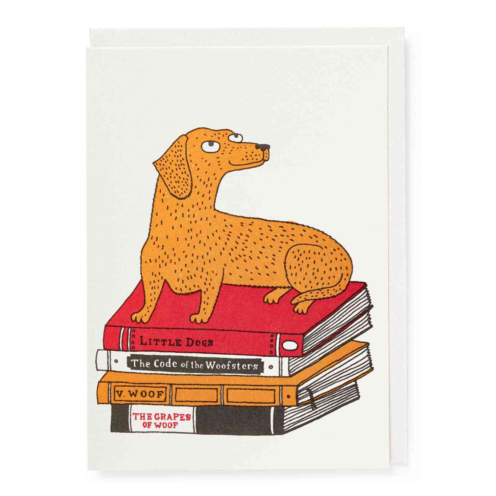 Bookshop Dog