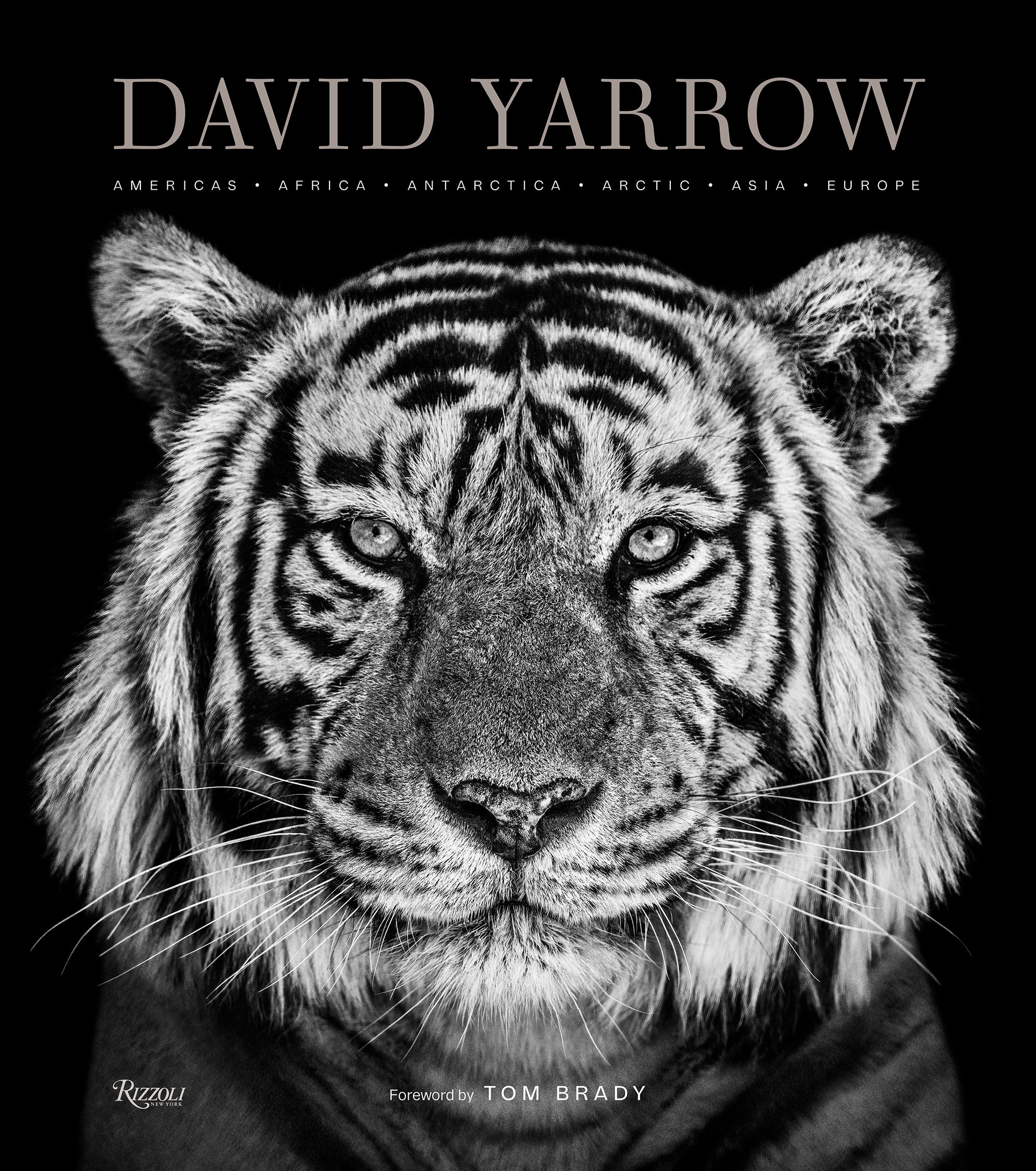 David Yarrow Photography