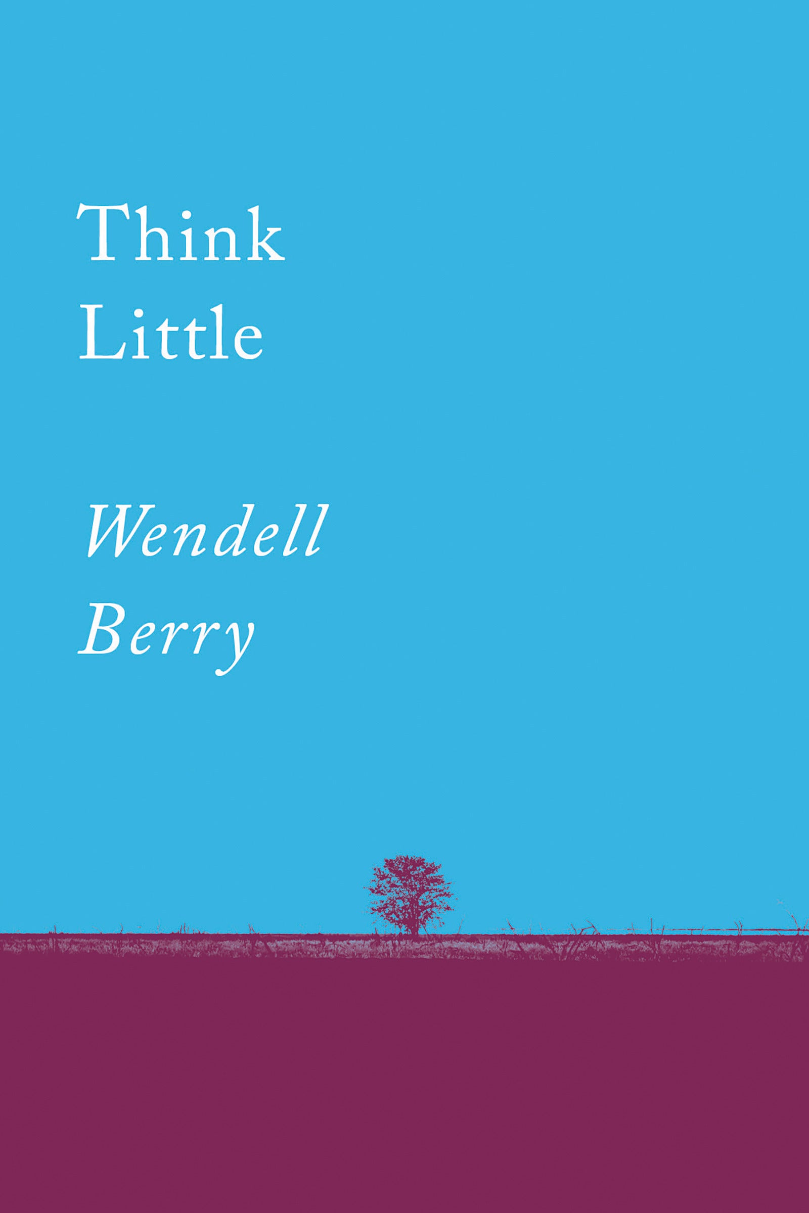 Think Little