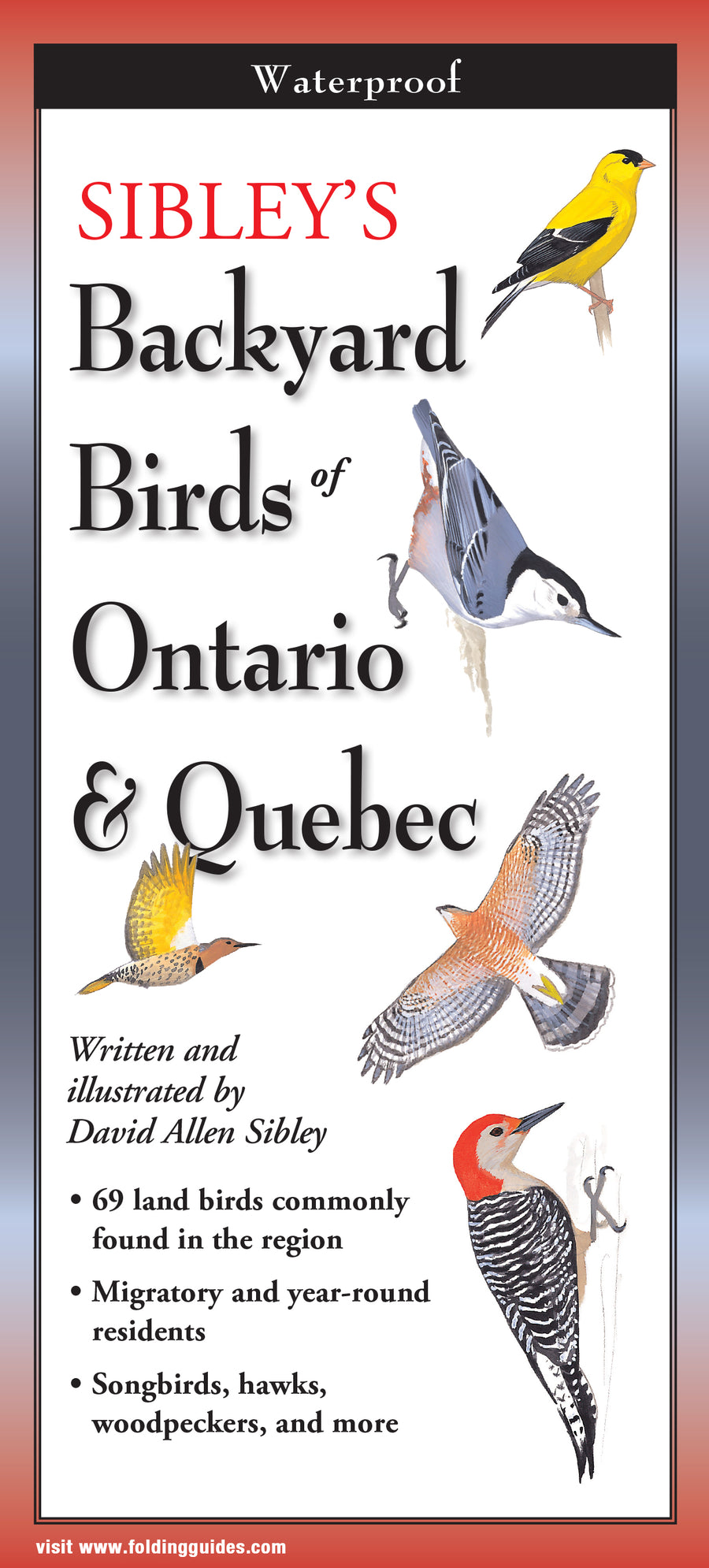 Sibley's Backyard Birds of Ontario &amp; Quebec - Folding Guide