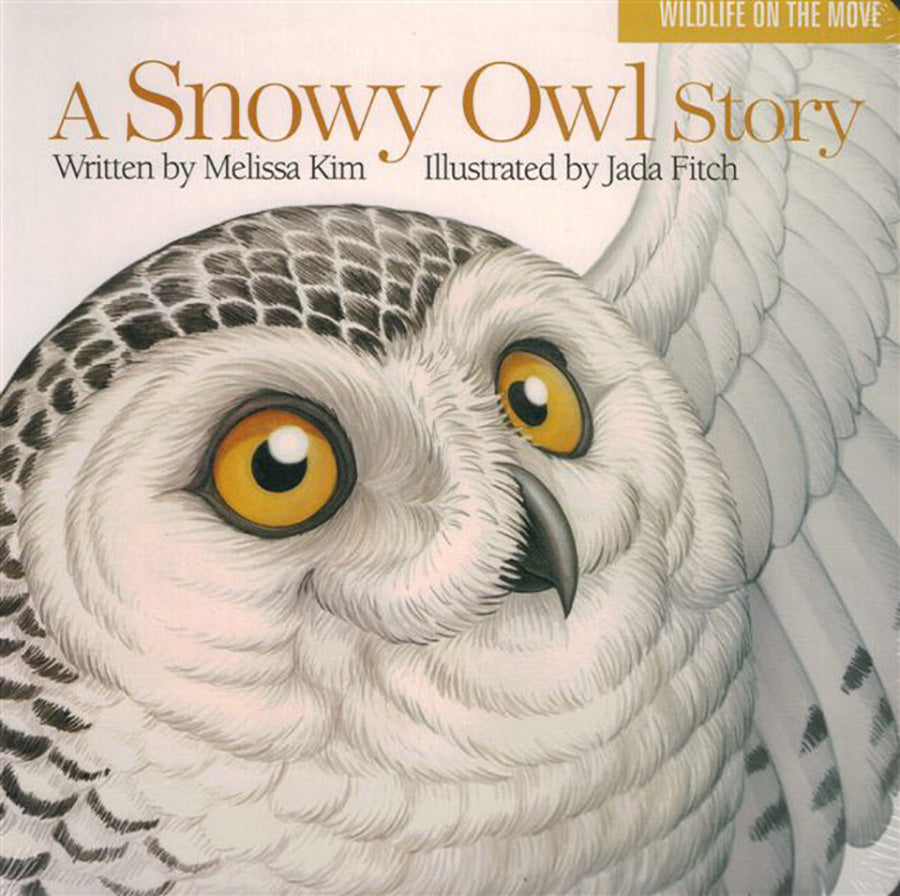 Snowy Owl Story