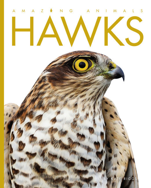 Amazing Animals: Hawks