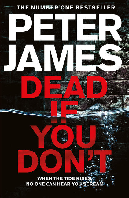Dead If You Don't (Roy Grace #14)