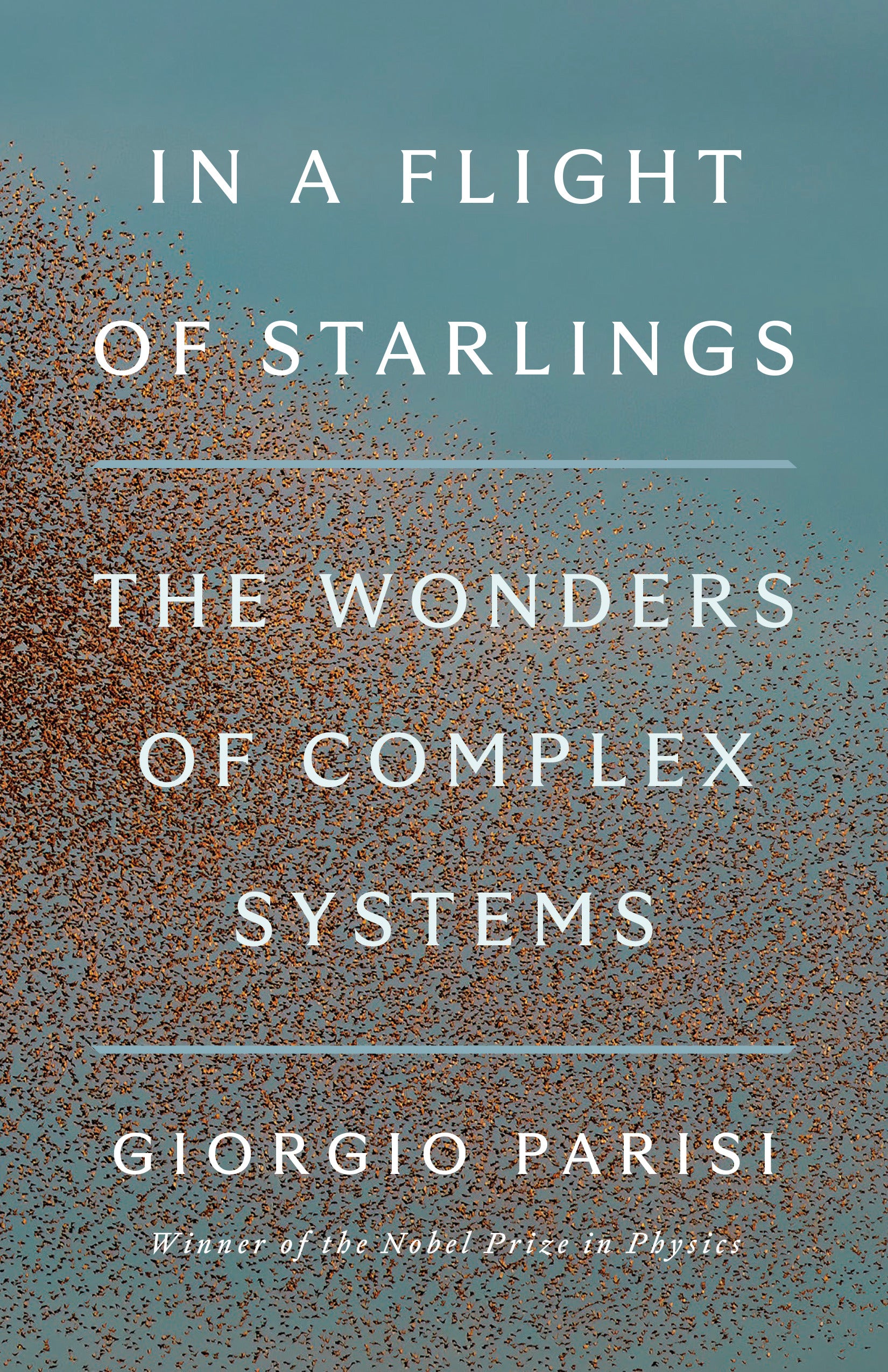 In a Flight of Starlings