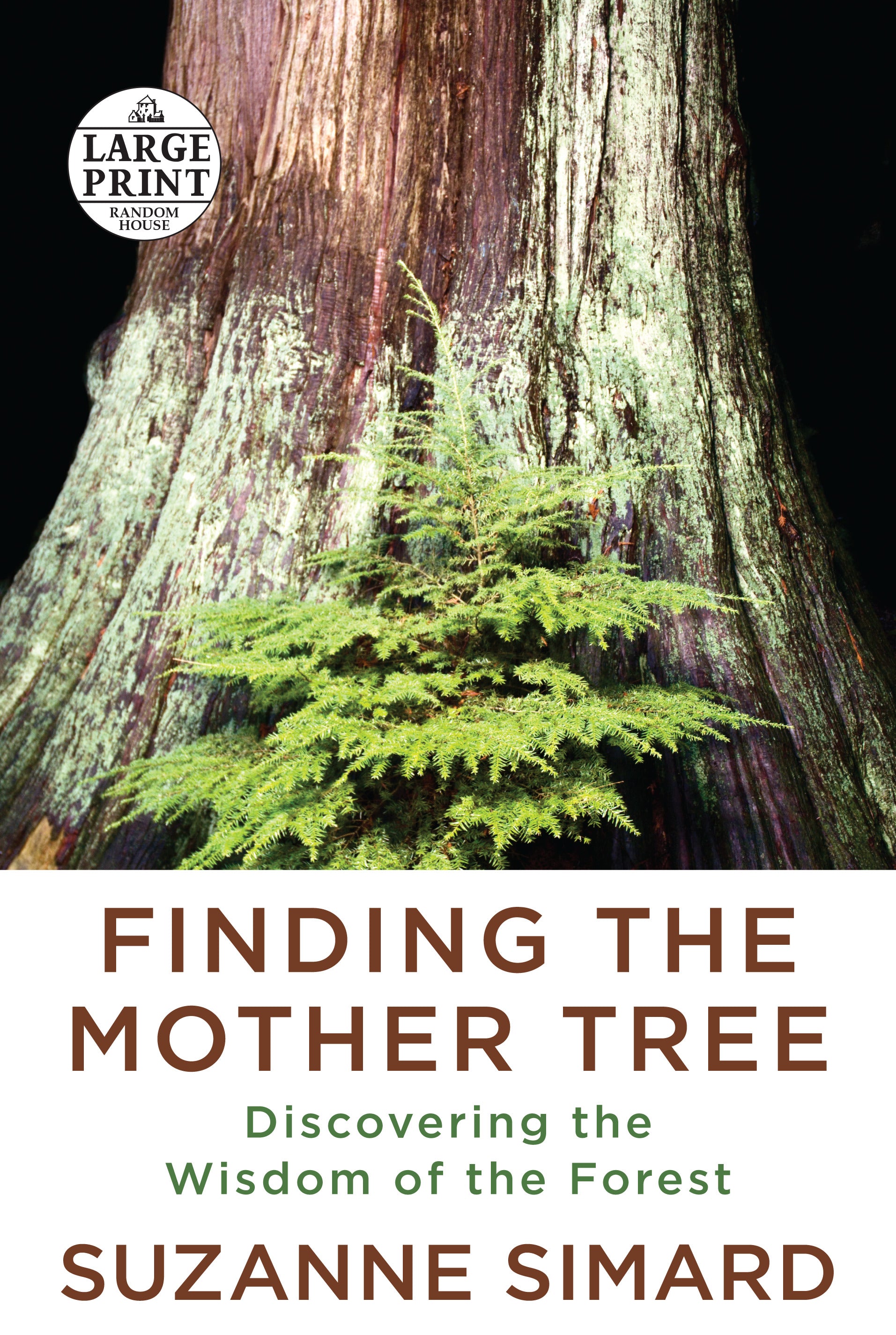 Finding the Mother Tree