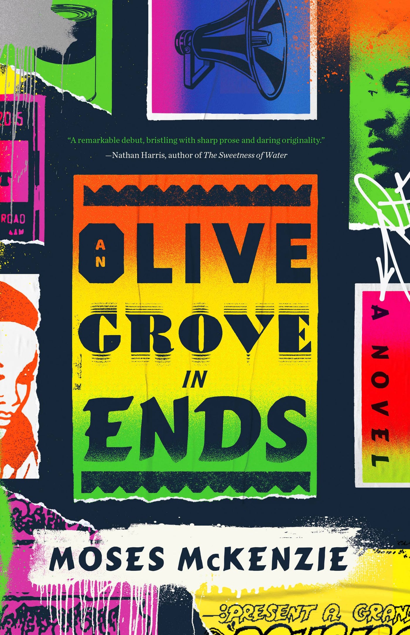 An Olive Grove in Ends