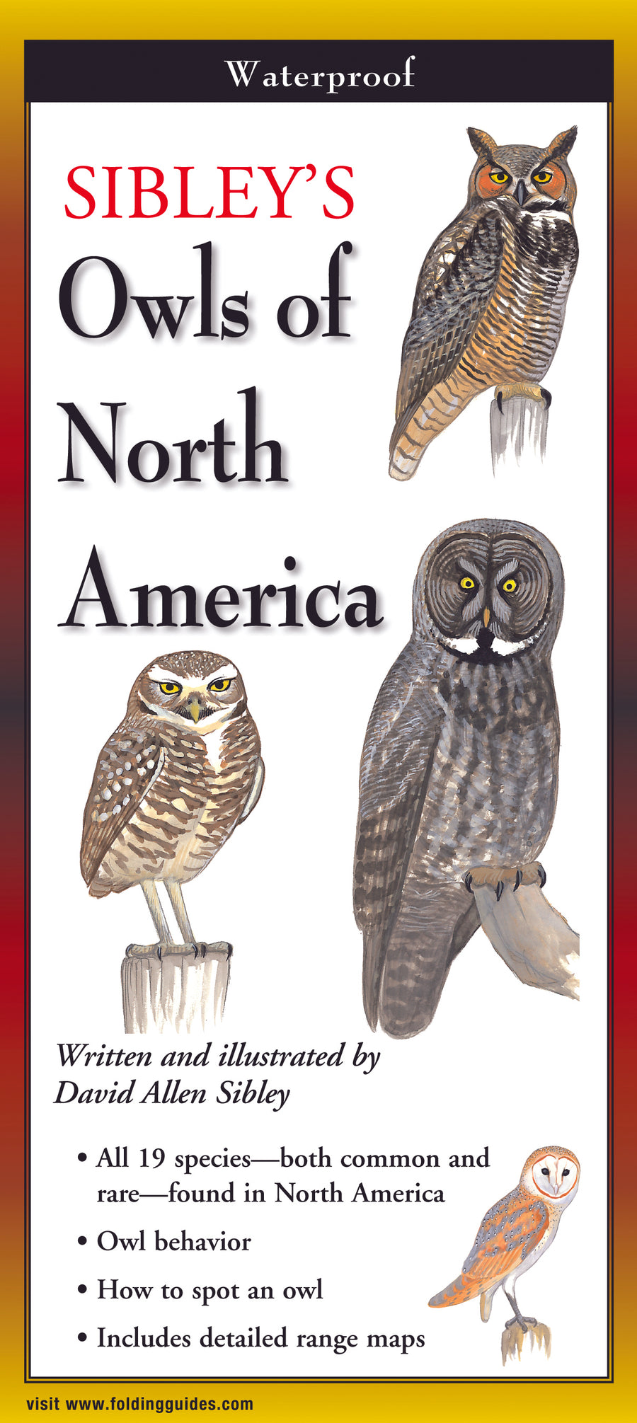 Sibley's Owls of North America - Folding Guide