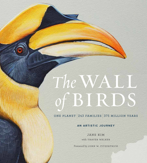 The Wall of Birds