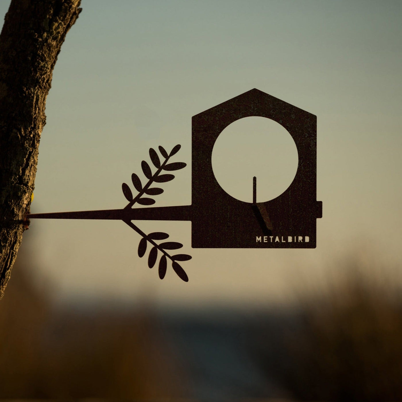 Bird Feeder